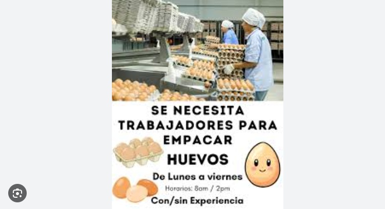 🏠 Gana dinero empacando huevos desde casa: lo que necesitas saber